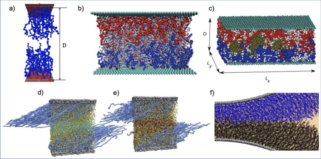 Polymer brushes for friction control: Contributions of molecular simulations