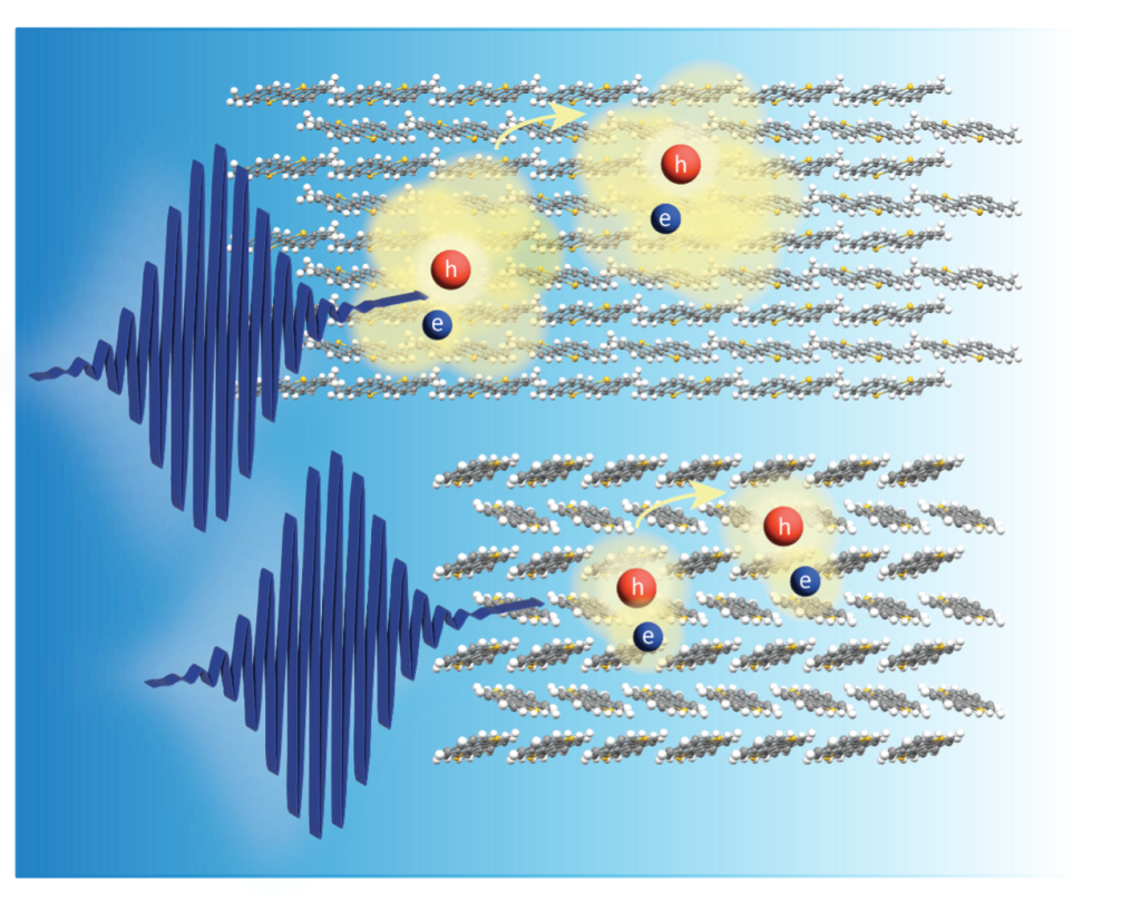 Transiently delocalized states enhance hole mobility in organic molecular semiconductors