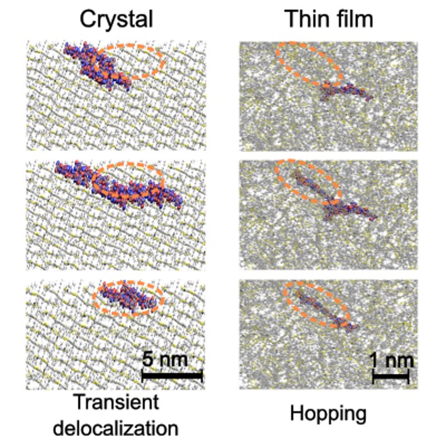 Disorder-Induced Transition from Transient Quantum Delocalization to Charge Carrier Hopping Conduction in a Nonfullerene Acceptor Material