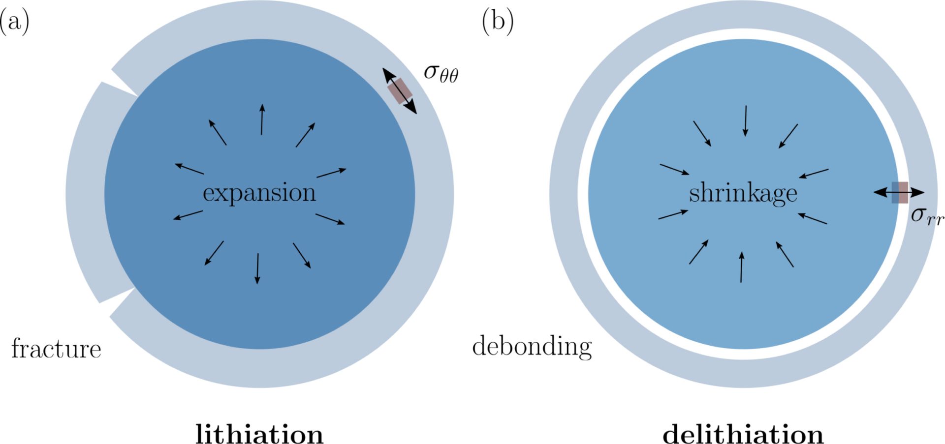 Influence of concentration-dependent material properties on the ...