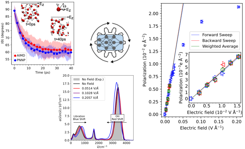 Machine learning the electric field response of condensed phase systems using perturbed neural network potentials