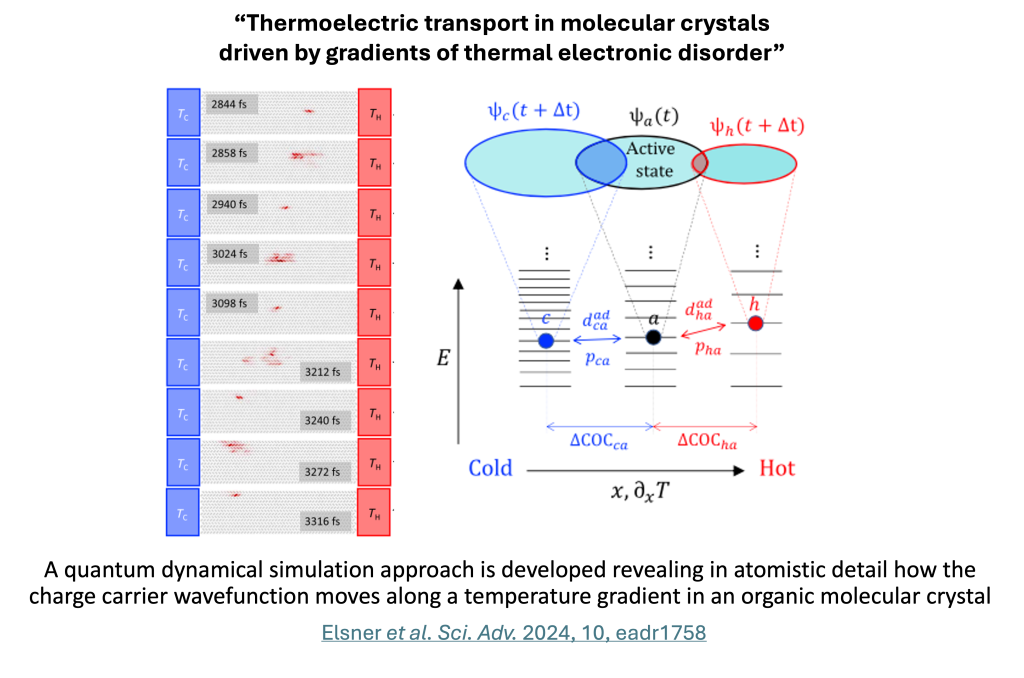 Thermoelectric transport in molecular crystals driven by gradients of thermal electronic disorder