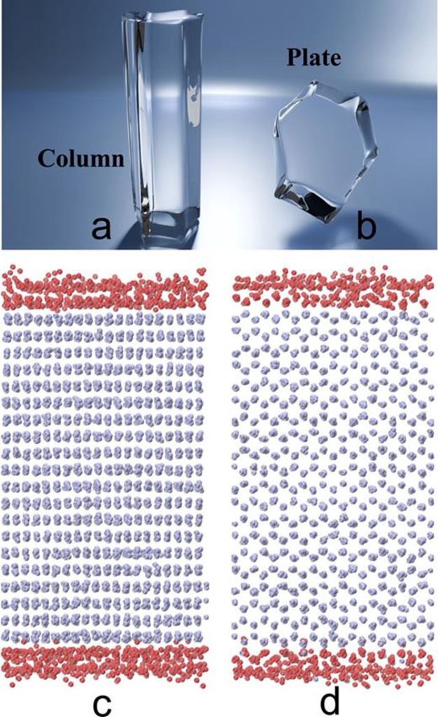 Unveiling the face-dependent ice growth kinetics: Insights from molecular dynamics on the basal and prism surfaces