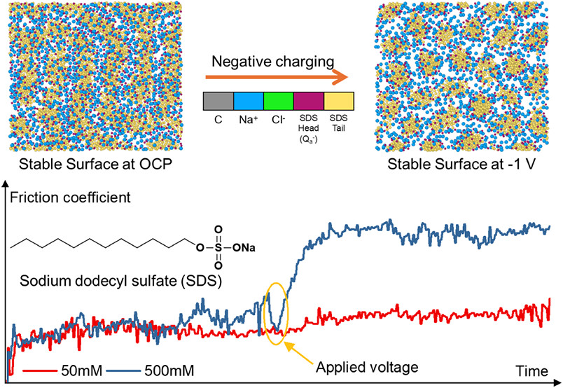 Electrically Tunable Friction through Surface Adsorption Layer Restructuring
