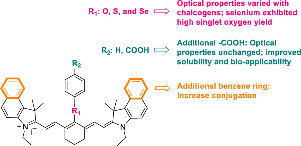 Structure–Property Relationships of Near-Infrared Cyanine Dyes: Chalcogen-Driven Singlet Oxygen Generation with High Fluorescence Efficiency