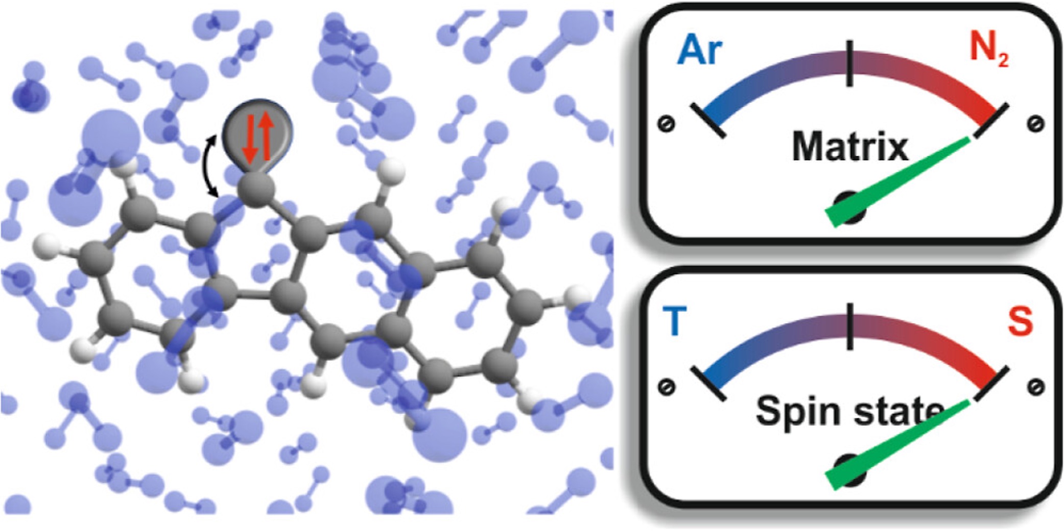 A Magnetically Bistable Rigid Carbene─2,3-Benzofluorenylidene