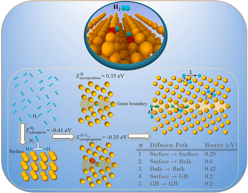 H–Cu vacancy co-segregation and H diffusion in Cu grain boundaries
