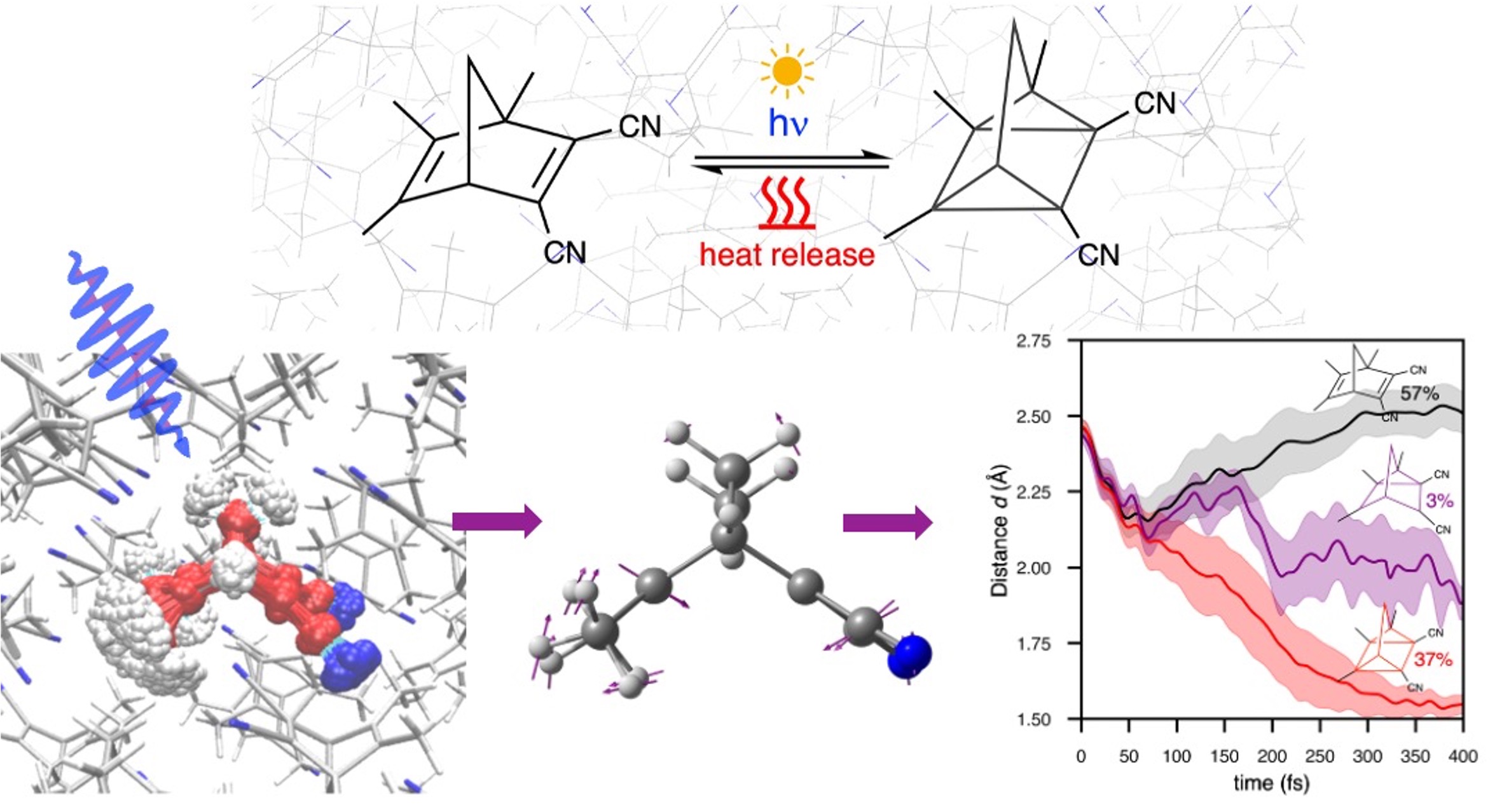 Understanding the photochemistry of a crystalline push–pull norbornadiene photoswitch