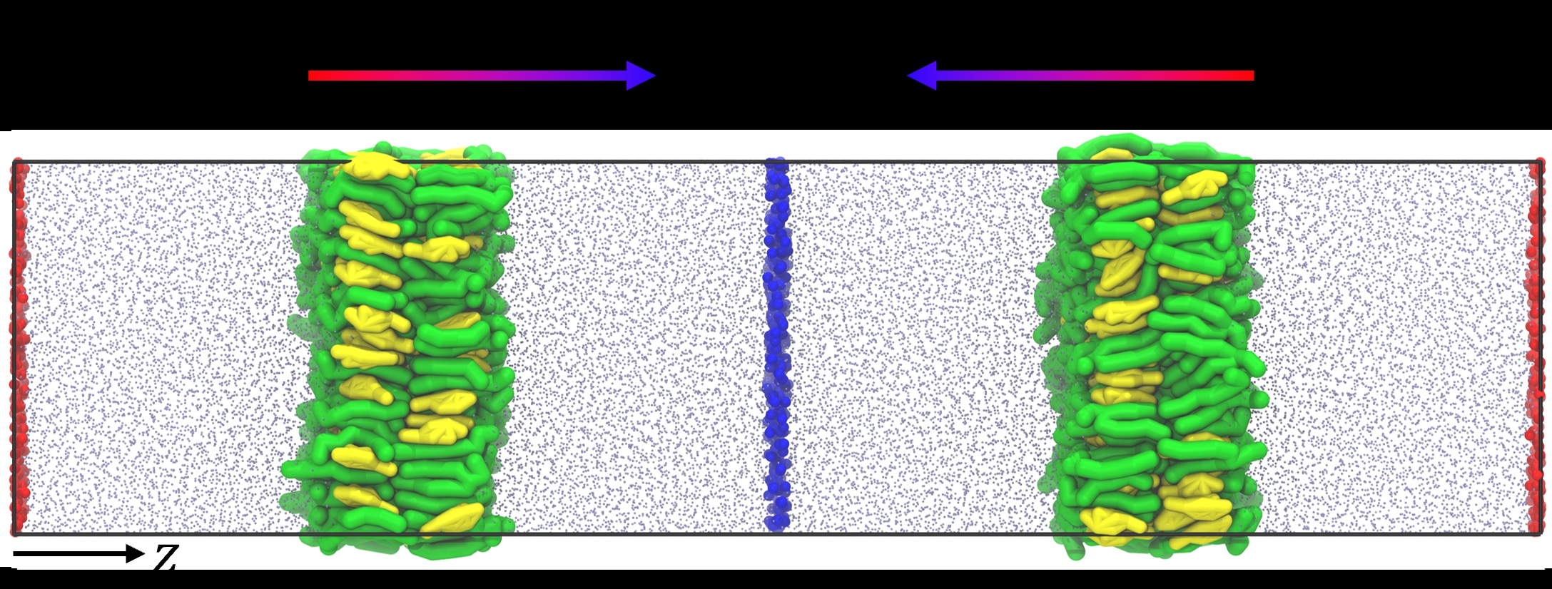 Phospholipid Saturation Modulates Cholesterol Partitioning and Heat Transport in Lipid Bilayers under Thermal Gradients